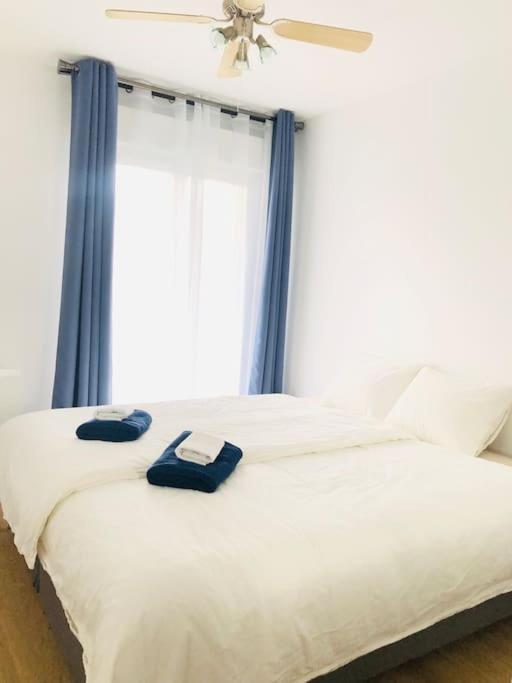 Cosy Apartement Near Geneva Saint-Julien-en-Genevois Εξωτερικό φωτογραφία